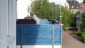 Netz springende Katze.jpg